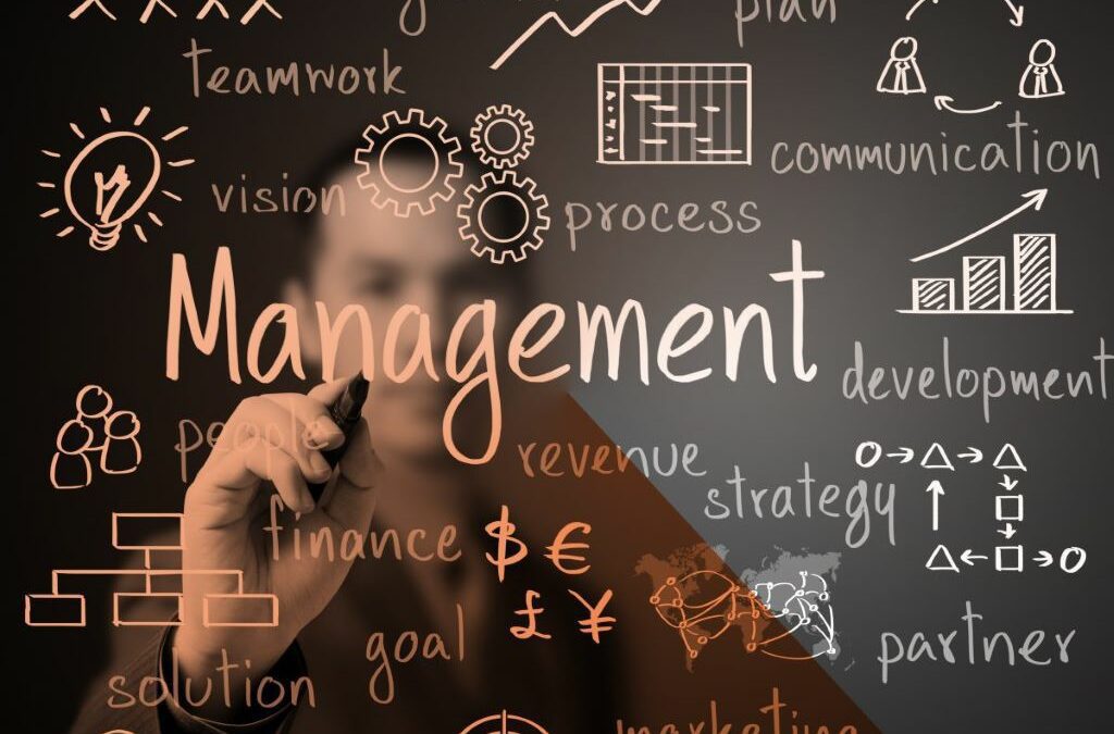 Was macht Interim-Management in der IT?